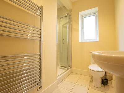 Picture 7